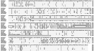 Full Genomic Analysis of New Variants of Porcine Reproductive and Respiratory Syndrome Virus Revealed Multiple Recombination Events Between Different Lineages and Sublineages